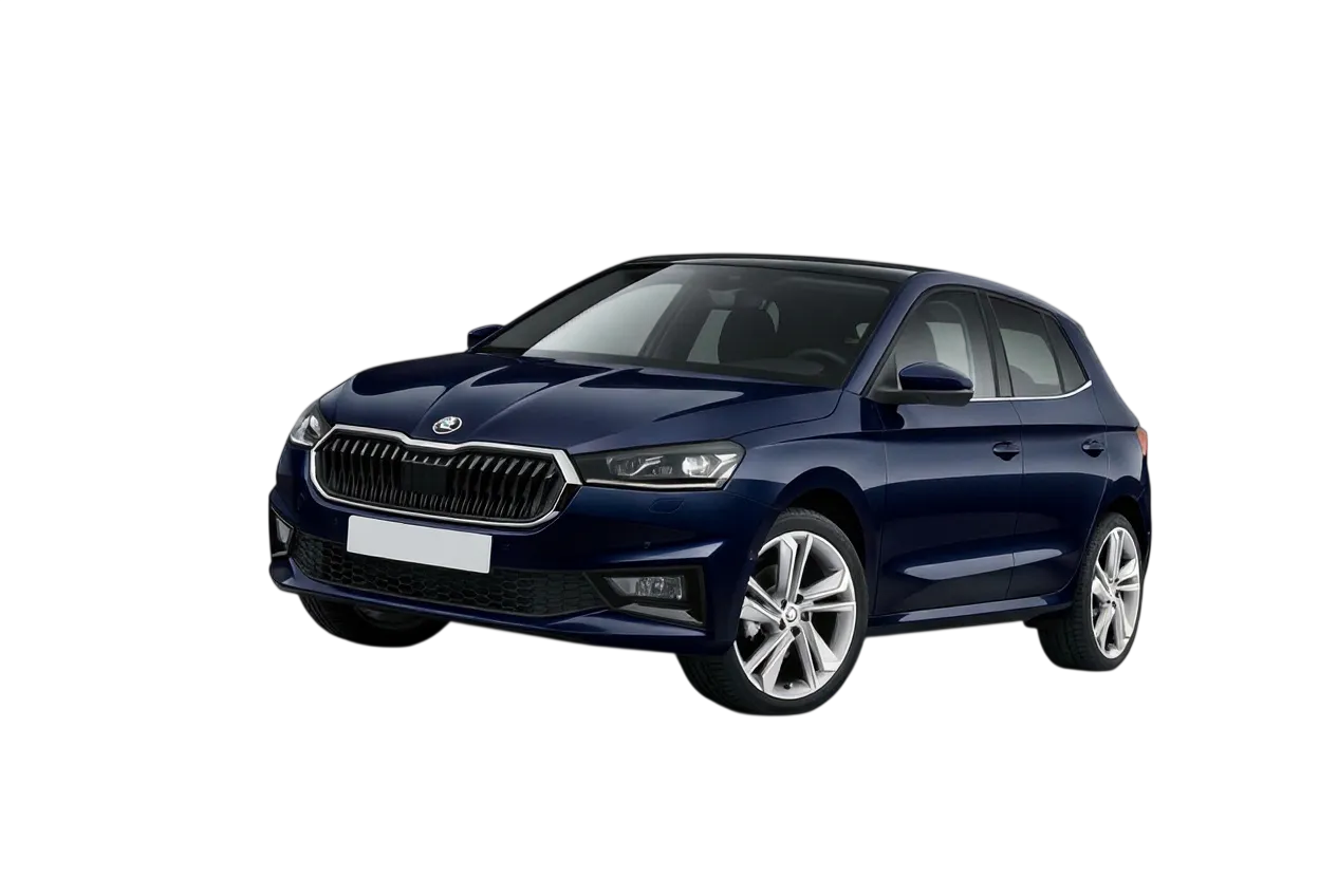 Ремонт рулевых реек Skoda Fabia